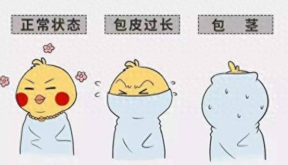 永医科普丨包皮过长那些事：一文读懂危害、判断与应对策略