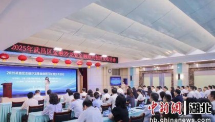 组建百人金融顾问团 武昌区发布金融顾问创新制度