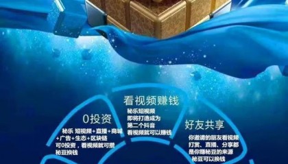 秘豆虚拟币(新版本秘豆怎么卖)