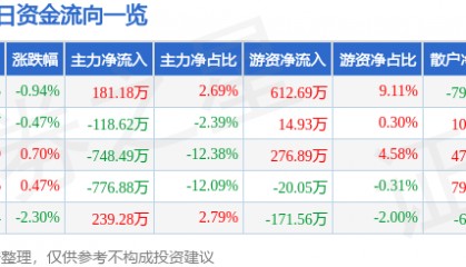 股票行情快报：海欣食品（002702）10月9日主力资金净买入181.18万元