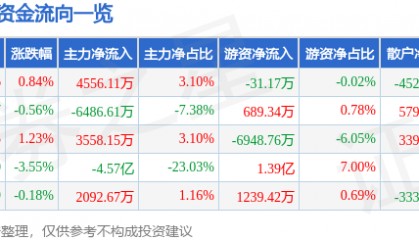 股票行情快报：三六零（601360）8月13日主力资金净买入4556.11万元