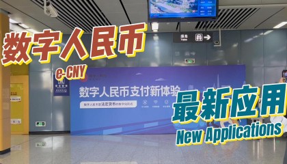 虚拟人名币(虚拟币别名怎么填)