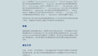 2025年未开发的潜力？开发金融支持转型矿产供应链可持续性