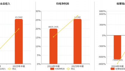 日丰股份(002953.SZ)：2025年中报净利润为1.13亿元