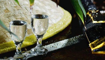 喝一口没事？酒精如何伤害发育中的大脑