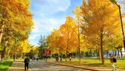 近期面试6月19日|职场晋升卡壳？中国人民大学与加拿大女王大学金融硕士为你打开国际视野！