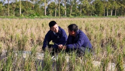 “百千万”珠海故事 | 澳青林霖：金融白领改行走上“兴农路”