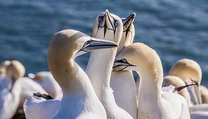 每周股票复盘:亚泰集团(600881)股票涨幅偏离值累计超20%