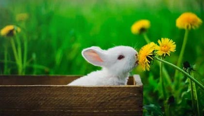 每周股票复盘:亚泰集团(600881)完成多项融资及担保议案