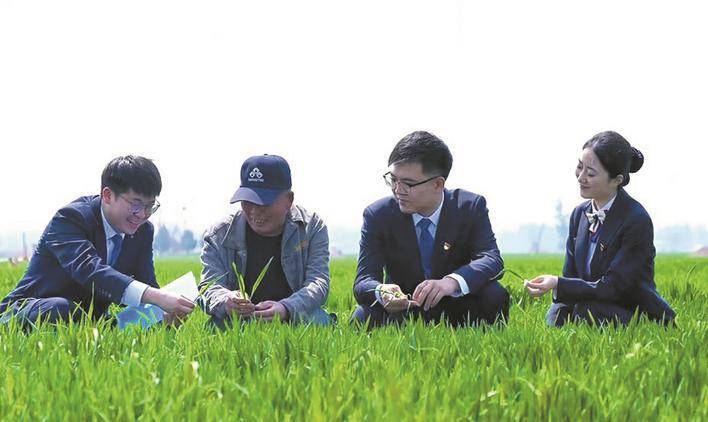 高阳联社做好金融“五篇大文章”