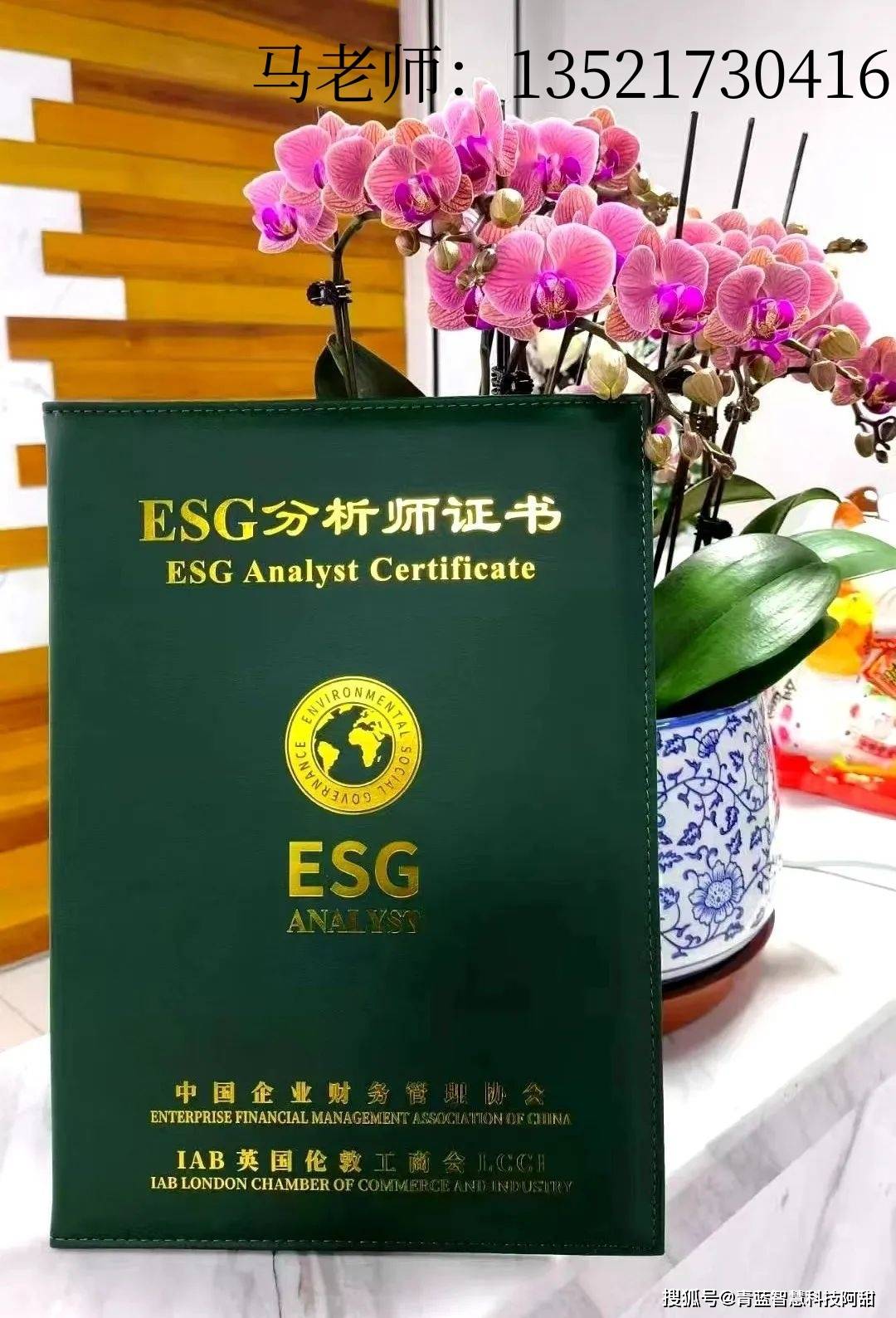 LCCI ESG分析师，金融圈的下一个风口？
