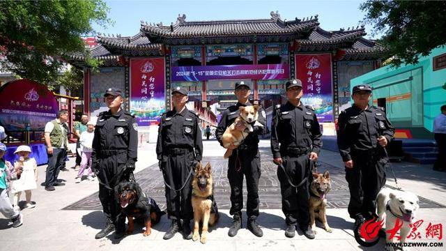潍坊市公安局严厉打击保险诈骗犯罪，捍卫经济金融安全