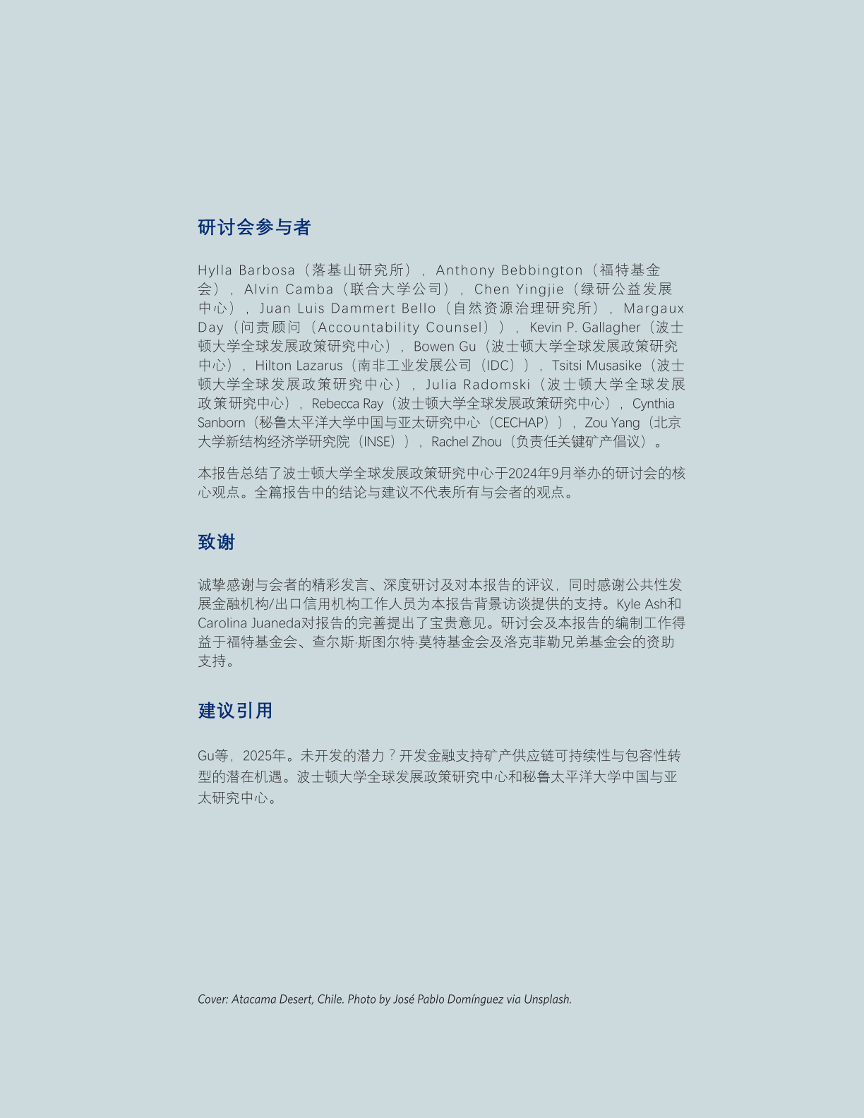 2025年未开发的潜力？开发金融支持转型矿产供应链可持续性