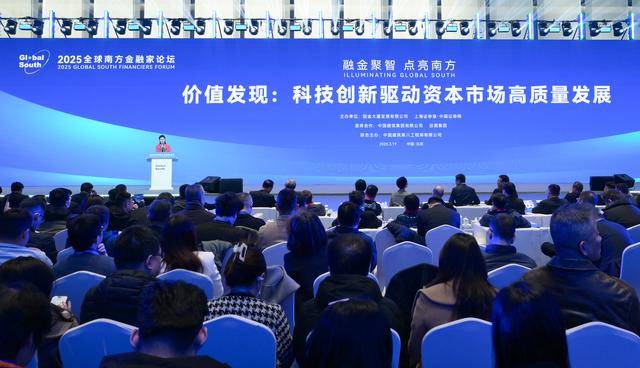 2025全球南方金融家论坛分论坛在京举行