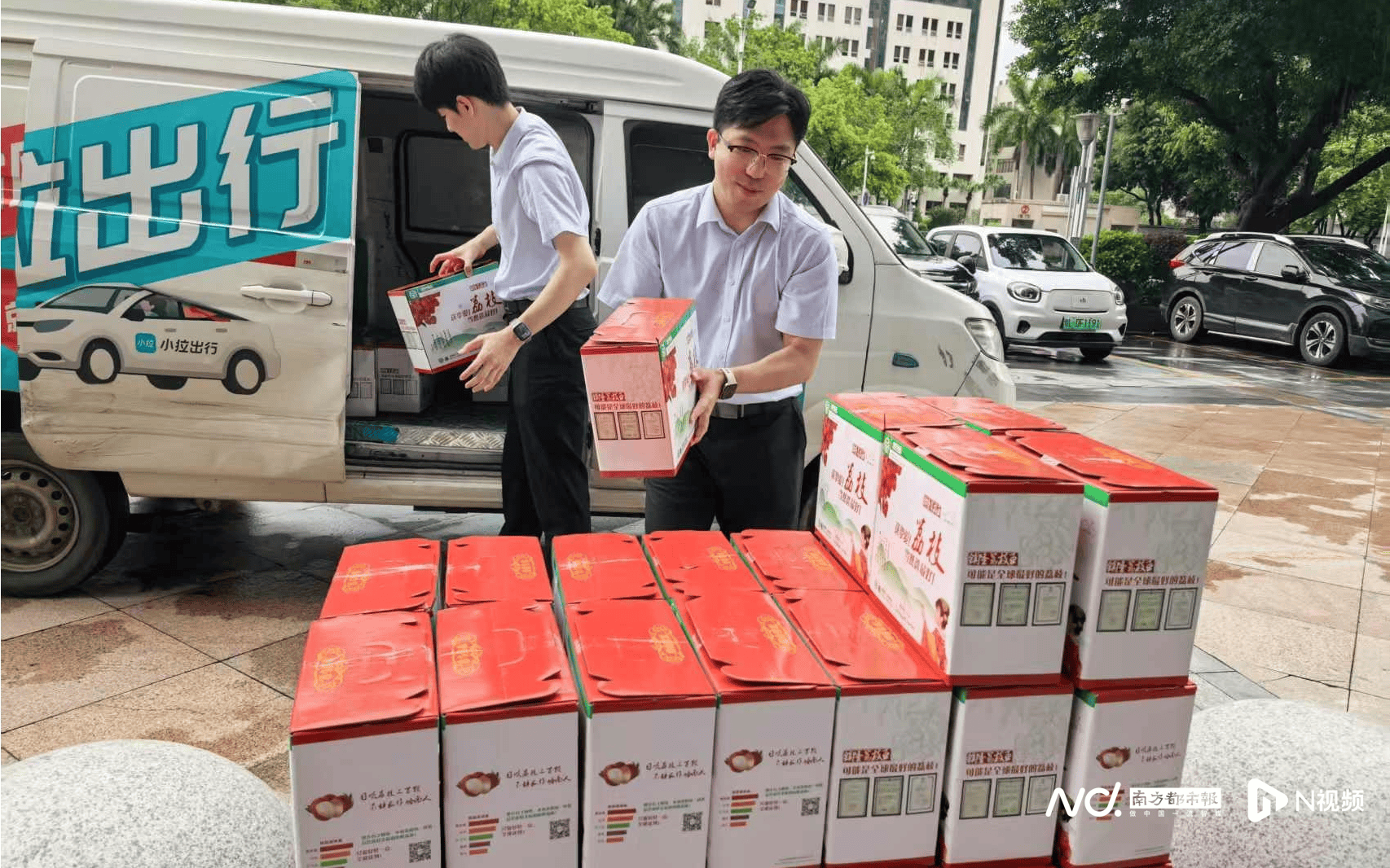 金融活水润鹅城 惠州工行采购荔枝助力乡村振兴