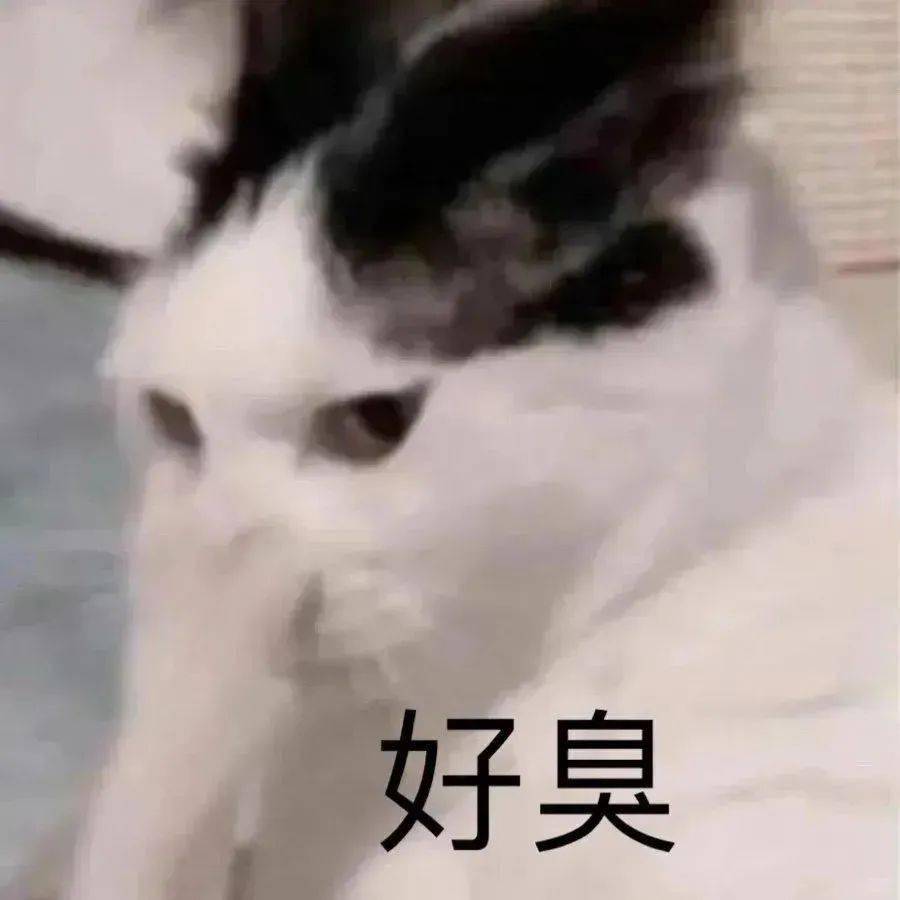 割完包皮后，多久能洗澡？