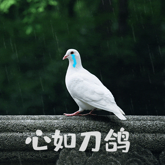 警惕！这些“割包皮广告”套路深